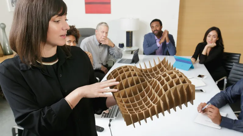 CC3500e 中大型视频会议系统